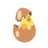 ikona kurczak w jajku